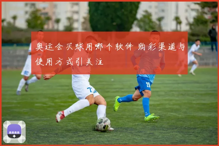 奥运会买球用哪个软件 购彩渠道与使用方式引关注