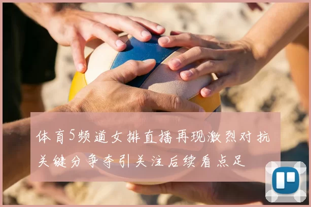 体育5频道女排直播再现激烈对抗 关键分争夺引关注后续看点足